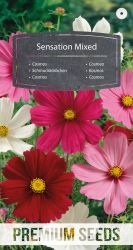 Cosmos Sensation Mix Seeds..